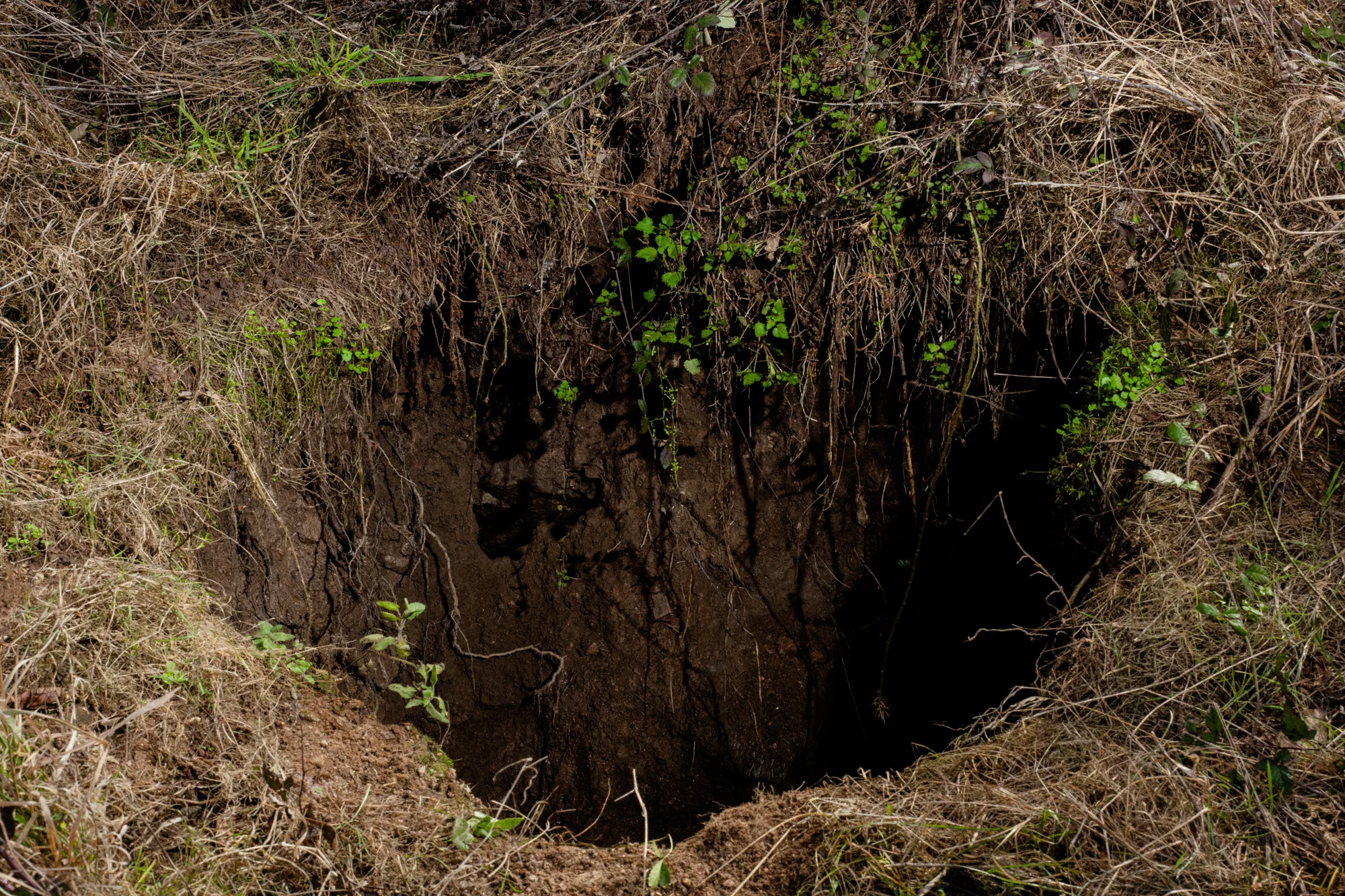 Le trou dans lequel une vache est tombée, une nuit de juin 2021. C'est en fait une ancienne cheminée reliant une des galeries qui a servi à l'exploitation du wolfram, le siècle dernier. Elle pourrait faire plusieurs dizaines de mètres de profondeur et passe sous le champ d'un agriculteur.